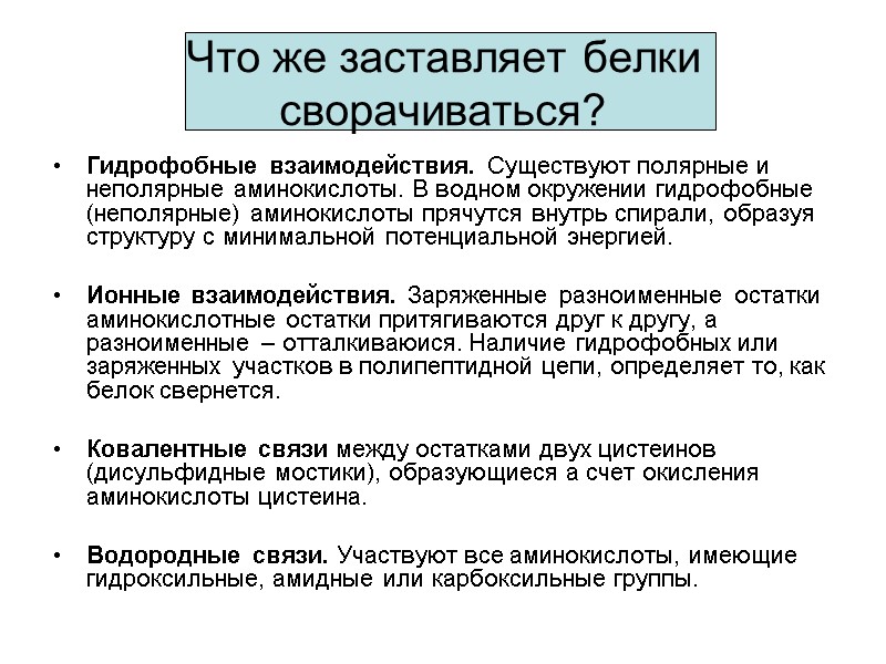 Что же заставляет белки сворачиваться?   Гидрофобные взаимодействия. Существуют полярные и неполярные аминокислоты.